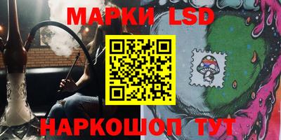 крисы Абакан