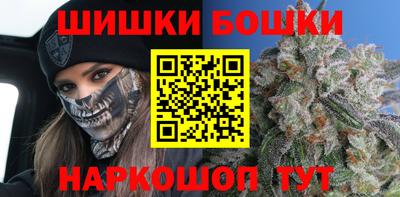 крисы Абакан