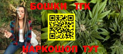 крисы Абакан