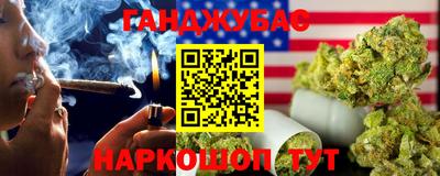 крисы Абакан