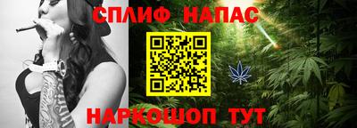 крисы Абакан