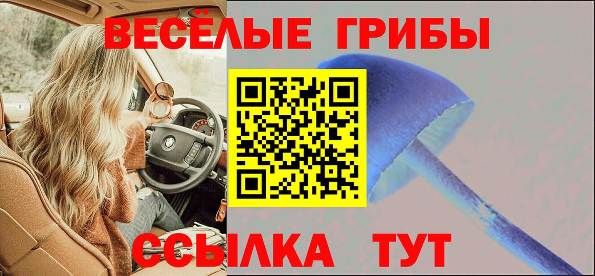 как найти закладки  Вход с VPN  Алейск  Псилоцибиновые грибы MAGIC MUSHROOMS 